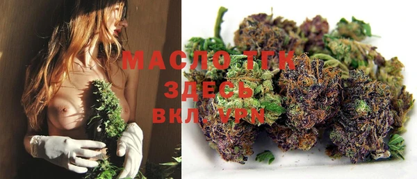 прущие грибы Слюдянка